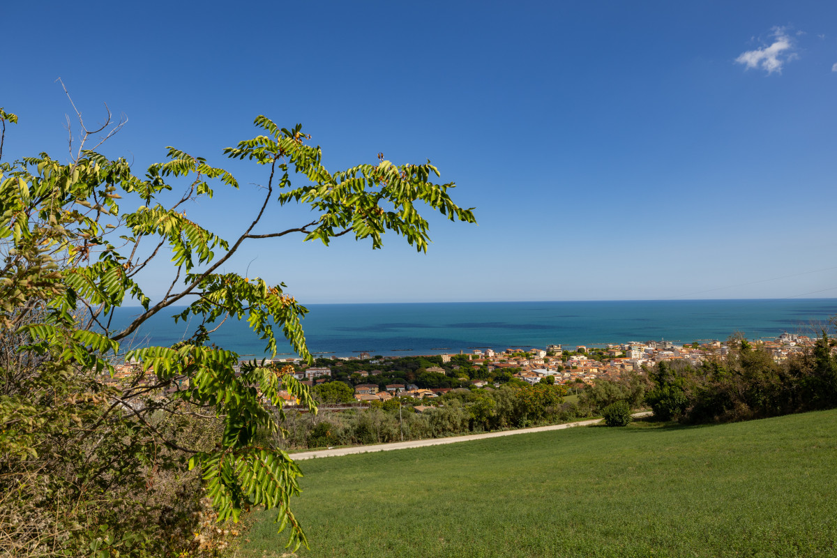 Monte della Misericordia