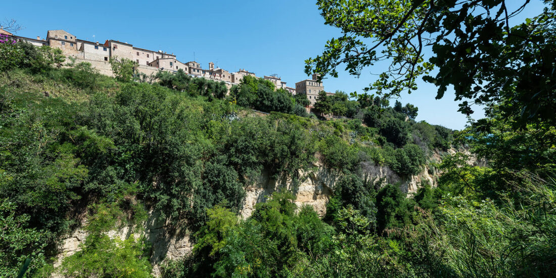 Bosco del Cugnolo